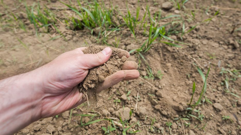 Wzrost populacji może oznaczać problemy z dostępem do żywności