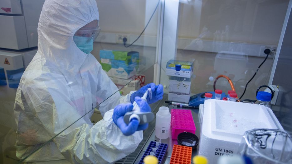 WHO - testy na obecność przeciwciał pozwolą zrozumieć skalę epidemii COVID-19.