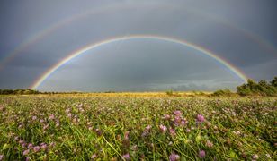 Tęczowy quiz wiedzowy dla wszystkich. Bierzcie i rozwiązujcie!