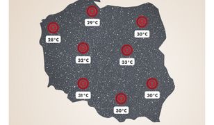 "W całym kraju patelnia". Firma idealnie wykorzystała upały