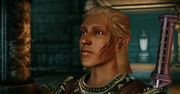 Zevran - latynoski elf-zabójca z Dragon Age