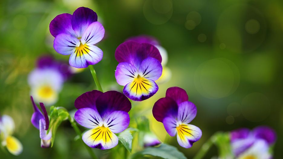 Prognoza pogody na dziś - sobota 6 kwietnia.