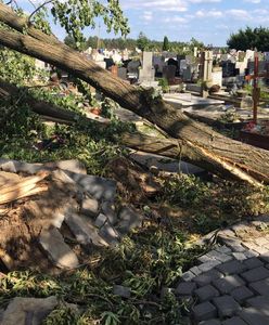 Śmiercionośne burze nad Polską. Ilu ludzi musi jeszcze zginąć, zanim powstanie skuteczny system ostrzegania?