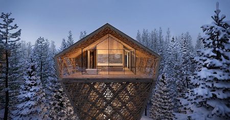 7-gwiazdkowy hotel. Powstanie w koronach austriackich drzew