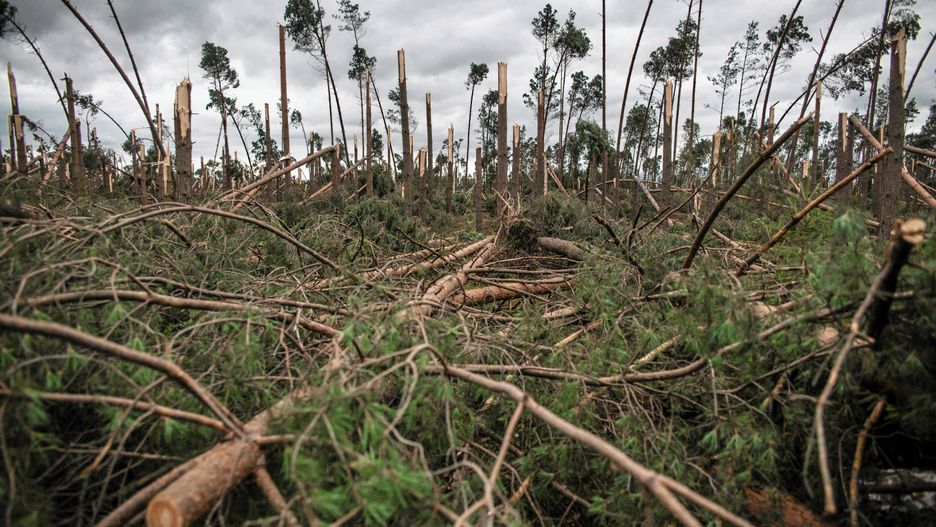 Likwidacja skutków klęski kosztowała dotychczas niemal 712 mln zł