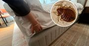 Sposób na pluskwy w hotelu. Włóż pod pościel, a odstraszy je na 100%!