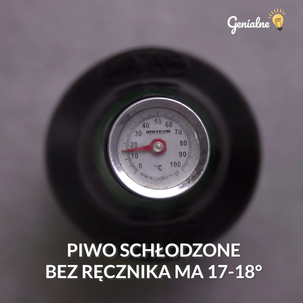 genialne.pl