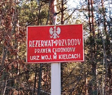Krzemionki Opatowskie są już na liście UNESCO. Polski skarb został doceniony