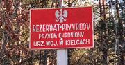 Krzemionki Opatowskie są już na liście UNESCO. Polski skarb został doceniony