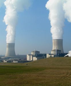 Działacze Greenpeace wdarli się do elektrowni atomowej. Odpalili fajerwerki