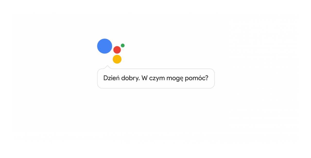 Asystent Google nie zrobił wrażenia na Polakach. Na Zachodzie, tam gdzie ma więcej funkcji, jest zdecydowanie bardziej popularny 
