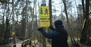 Jest odpowiedź na zakaz wstępu do lasu. Prywatni właściciele lasów udostępniają swoje tereny do spacerów