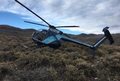 Łoś strącił helikopter. Załoga chciała oznakować zwierzę