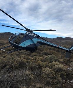 Łoś strącił helikopter. Załoga chciała oznakować zwierzę