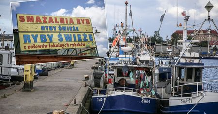 Świeży dorsz w sezonie ochronnym. Oto, skąd smażalnie mają ryby