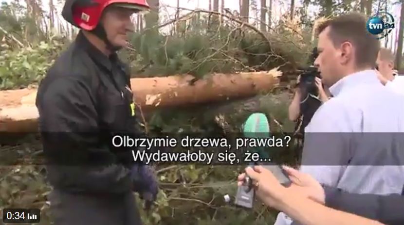 "Olbrzymie drzewa, prawda?" 45 sekund rozmowy strażaków z ministrem "zerwanym z choinki"