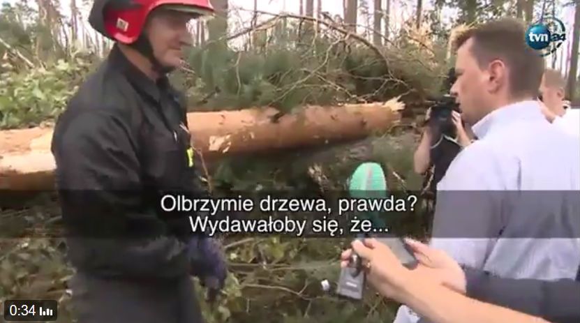 "Olbrzymie drzewa, prawda?" 45 sekund rozmowy strażaków z ministrem "zerwanym z choinki"