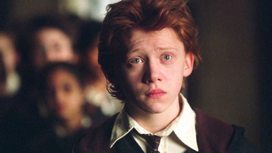 Kręcenie "Harry’ego Pottera" było wielkim poświęceniem.