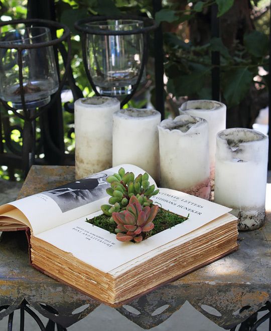 Succulent Book Planters