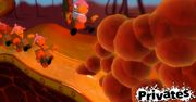 Xbox Live zbyt purytański dla Privates?