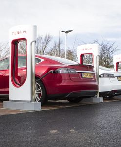 Stary Passat bardziej ekologiczny niż Tesla. Prawda o elektrykach