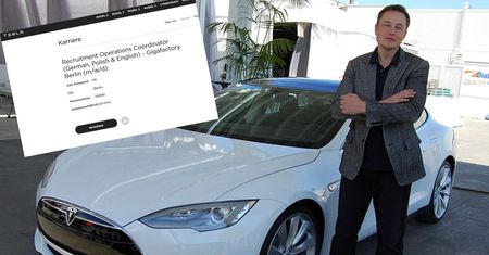 Fabryka Tesli w Berlinie, ale pracować będą w niej Polacy. Już szukają ludzi