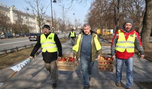 Warszawa. Plac w centrum utonął w jabłkach