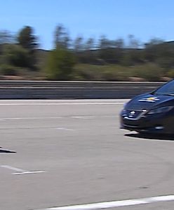 Euro NCAP zmienia reguły gry. Teraz sprawdzi dbałość o rowerzystów