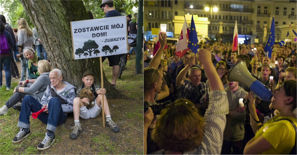 Kuriozalny wpis ministerstwa. Oto, co wg nich łączy protesty ws. sądów i ws. puszczy