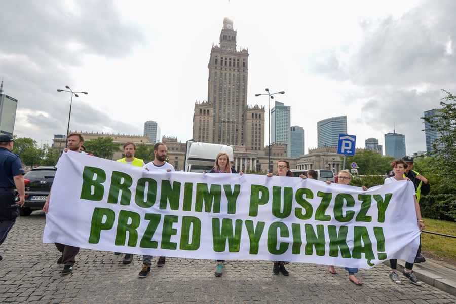 Policja chce ukarać 17 osób ws. blokowania maszyn w Puszczy Białowieskiej