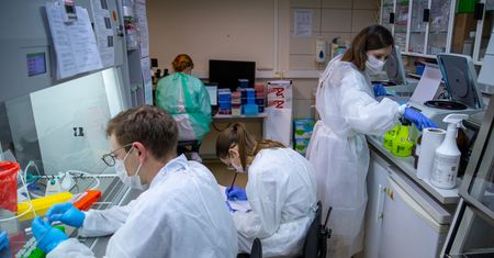 Koronawirus. Rusza produkcja polskiego testu. Na początek 150 tys.