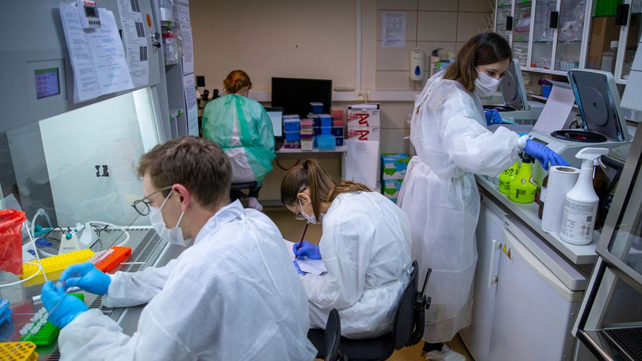 Nad stworzeniem testu pracowali wolontariusze