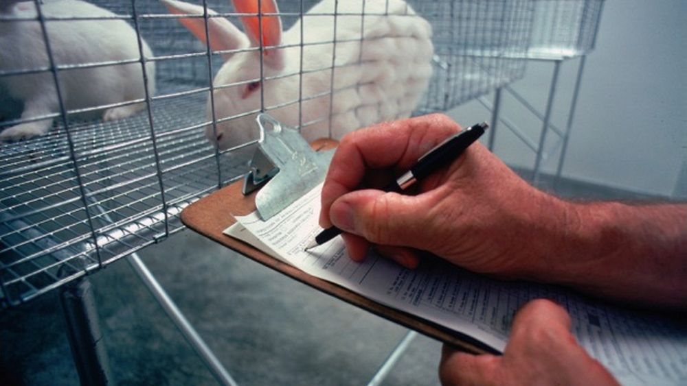 W całym 2018 roku w Polsce do badań naukowych wykorzystanych zostało ponad 150 tys. zwierząt.