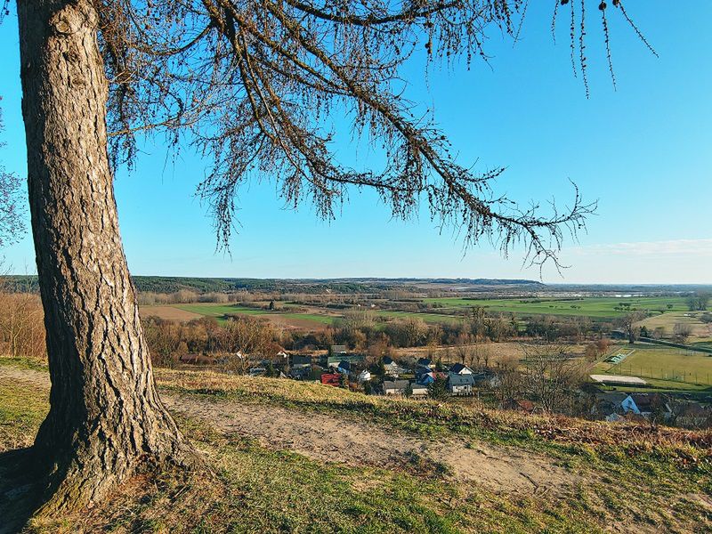 Park w Janowcu jest bardzo piękny, ale widok ze skarpy jeszcze piękniejszy. Zdjęcie zrobione smartfonem LG V40 Thinq. 