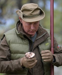 Władimir Putin na urlopie. Zbiera grzyby na Syberii
