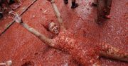 La Tomatina 2017: Absolutne szaleństwo. Całe miasto w czerwieni po niecodziennej bitwie