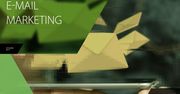 Raport Interaktywnie.com: E-mail marketing