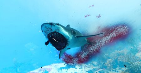 Maneater. Sharknado gier wideo [RECENZJA]