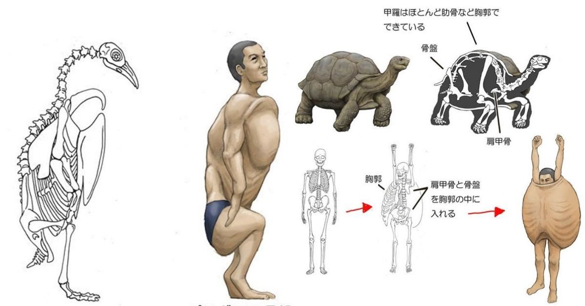 15 Pictures Illustrating What People Would Look Like If They Had Skeletons of Various Animals