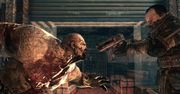 Nicolas Games złożył wniosek o upadłość