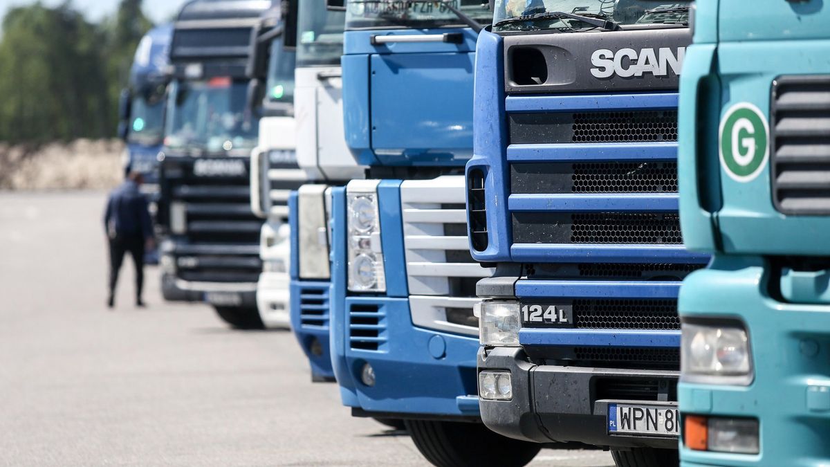 Polska jest europejską potęgą transportową. Wszystko dzięki niższym cenom.