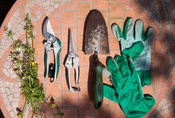 Marcowe prace w sadzie i ogrodzie. Przegląd najważniejszych sprzętów i narzędzi