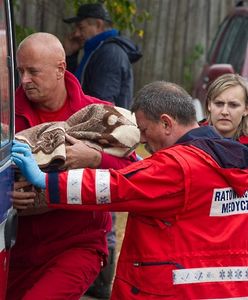 Leśniczy znalazł zaginionego 3,5-latka