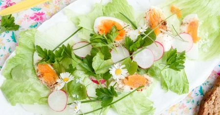 Stokrotki w kuchni - do zup, sałatek i syropów