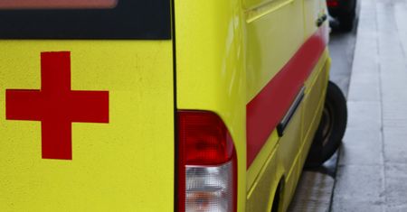 Rosja. Odnaleziono zaginioną 5-latkę, w lesie był z nią niedźwiedź