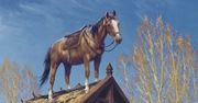 CD Projekt RED ma poczucie humoru. A także przepiękne grafiki z Wiedźmina 3 do powieszenia na ścianie