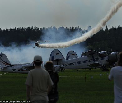 Olsztyn. 21 hektarów lasu przy lotnisku idzie do wycinki