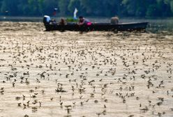Kim, Komenda i jętki. Najlepsze zdjęcia tygodnia