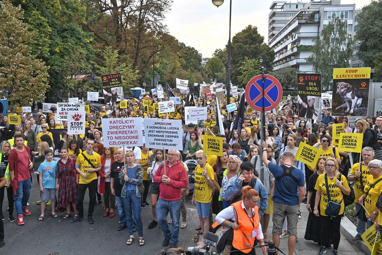 Sejm. Protest obrońców praw zwierząt. "Gdzie ta dobra zmiana?"