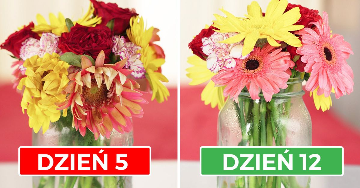 7 domowych sposobów, by cięte kwiaty stały dłużej. Nawet o tydzień!
